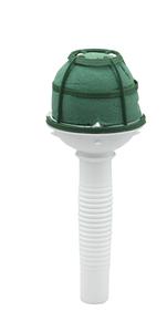 OASIS® Little Lady