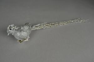 Vtáčik dlhoocások