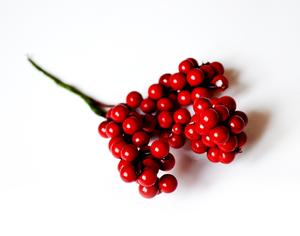 Berry vetvičky
