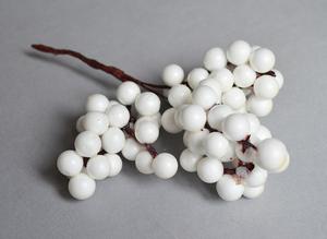 Berry vetvičky
