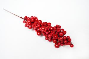 Berry vetvičky