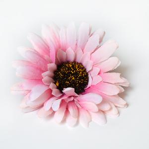 Gerbera