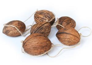 Sušina mintola záves.