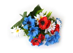 Kytica poľných kvetov