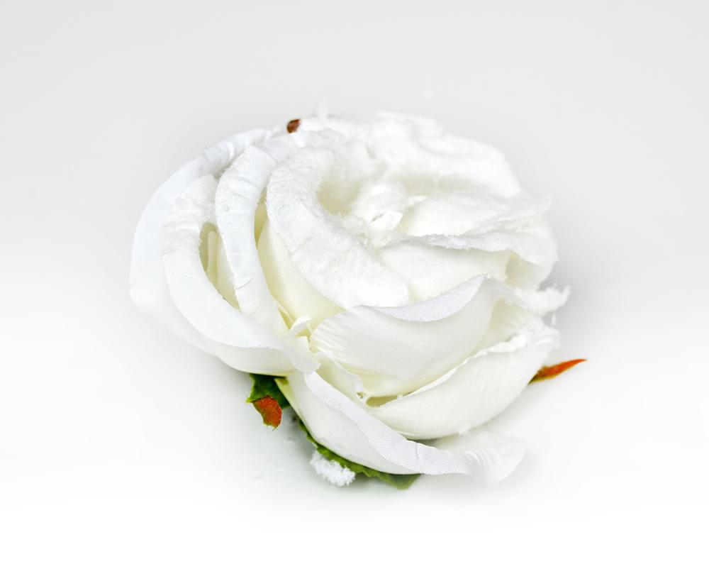 Ruža kvet zasnežená