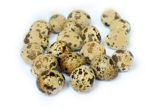 Prepeličie vajíčka prázdne