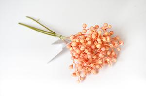 Berry vetvička