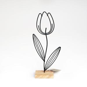 Dekoratívny tulipán