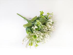 Protea