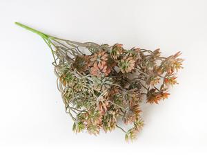 Zväzok svetlo hnedý