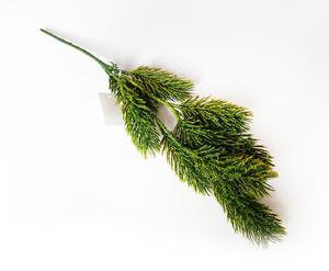 Smrek vetva