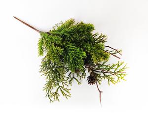 Vetvičky so šiškami