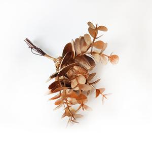Eukalyptus mini