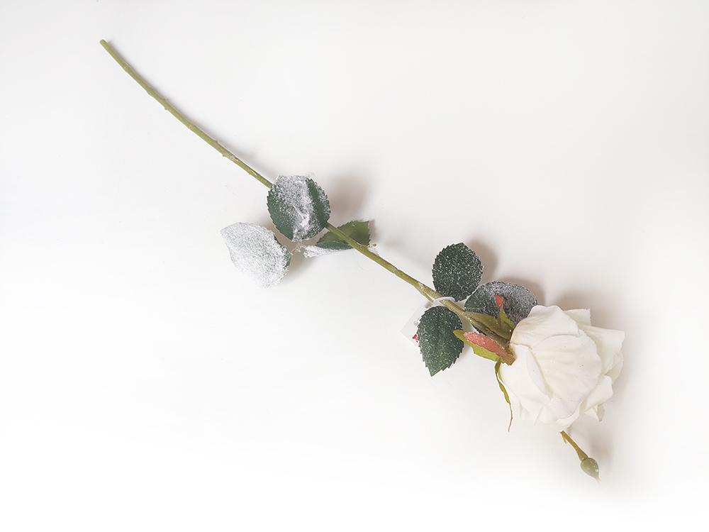 Ruža zasnežená
