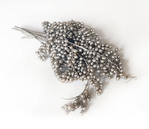 Vetvičky s bobuľkami