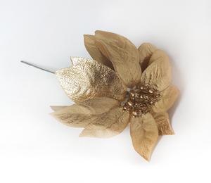 Vianočné ruže Vianočné ruže