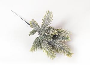 Jedľa vetvička Jedľa vetvička