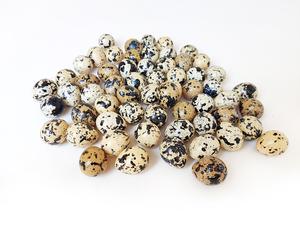 Vajíčka prepeličie